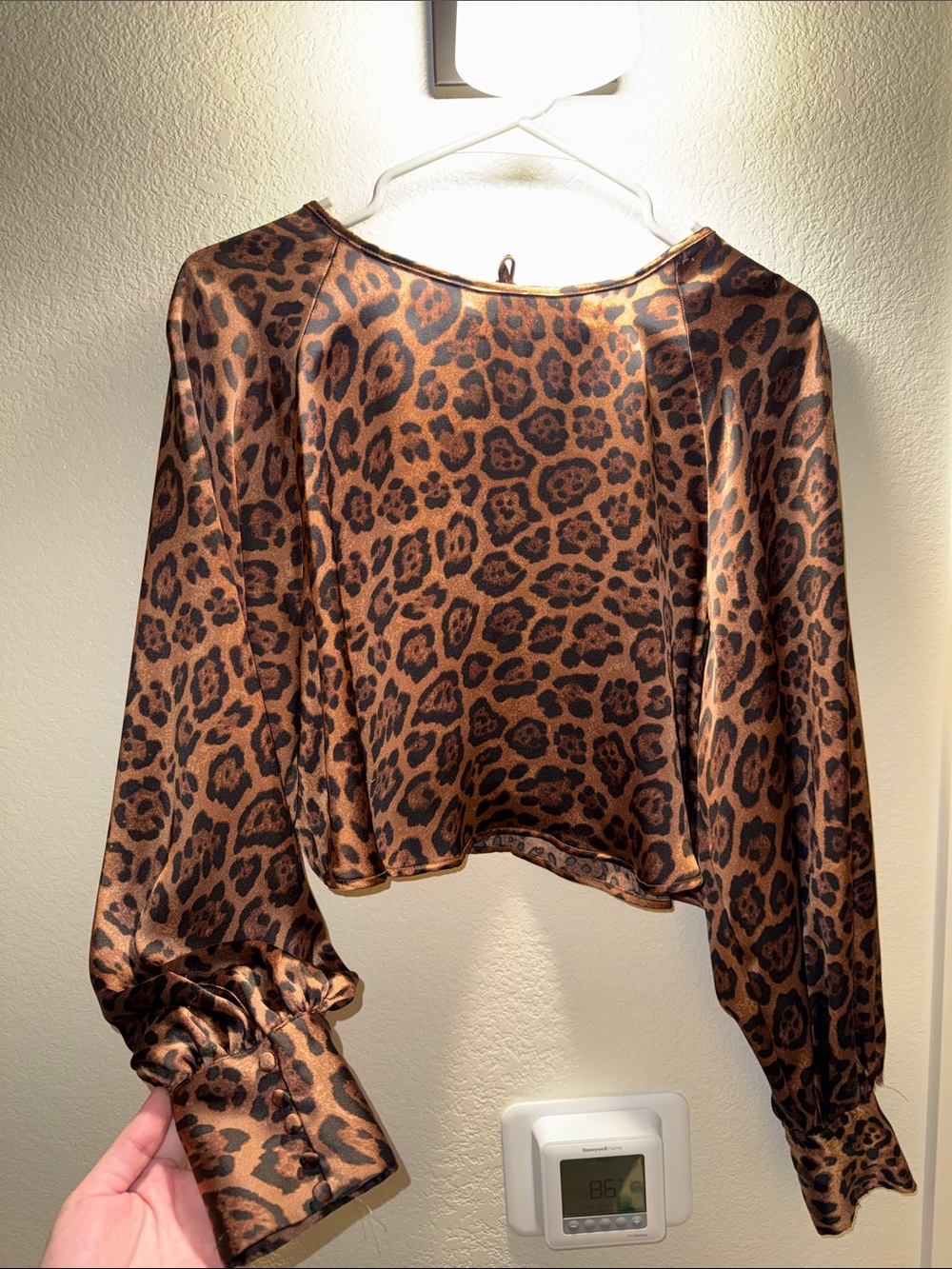 H&M Brown and Black Leopard Satin Long-Sleeve Crop Top